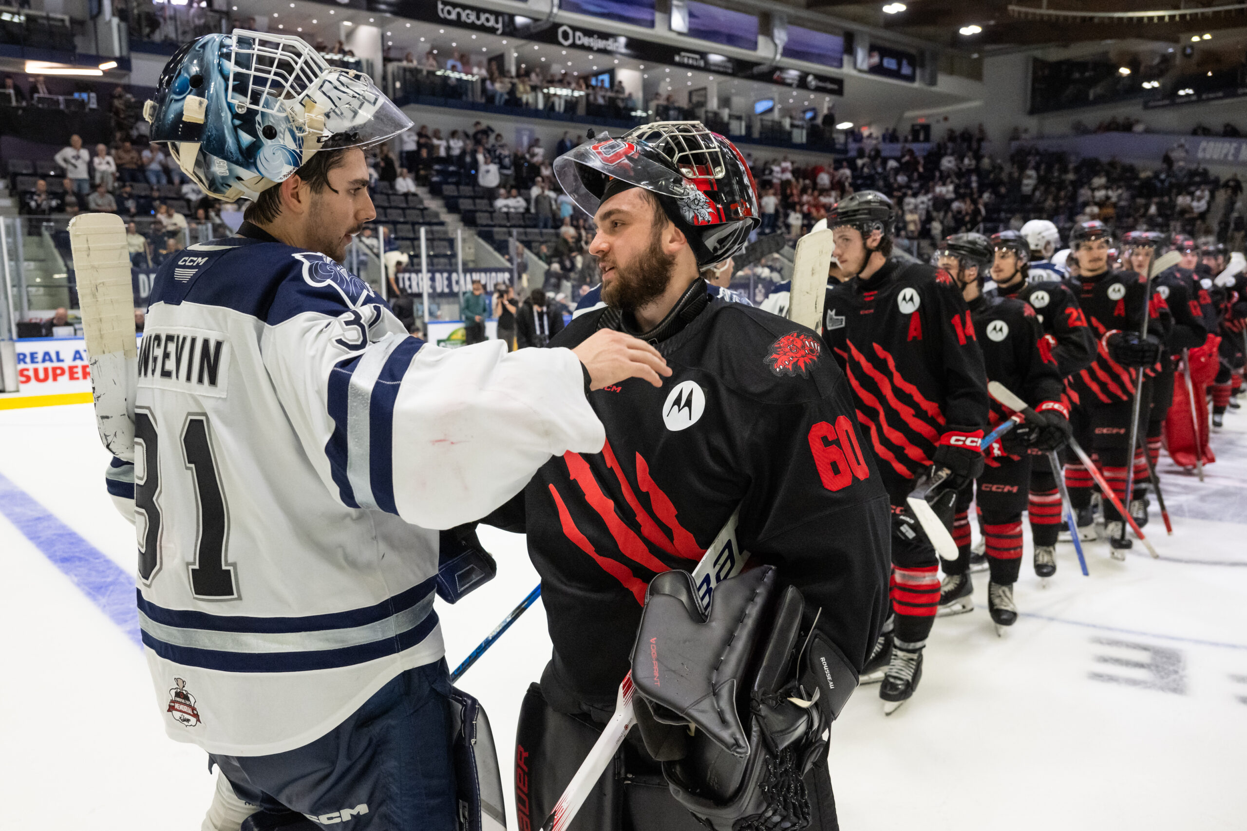 2025 Memorial Cup: Wildcats rally through tragedy to earn Memorial Cup semifinal berth 31 Wildcats and Océanic shake hands during Memorial Cup game
