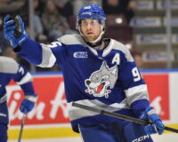 Wolves forward Nick DeAngelis